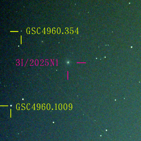アトラス彗星(3I/2025N1) 11月11日 Seestar50