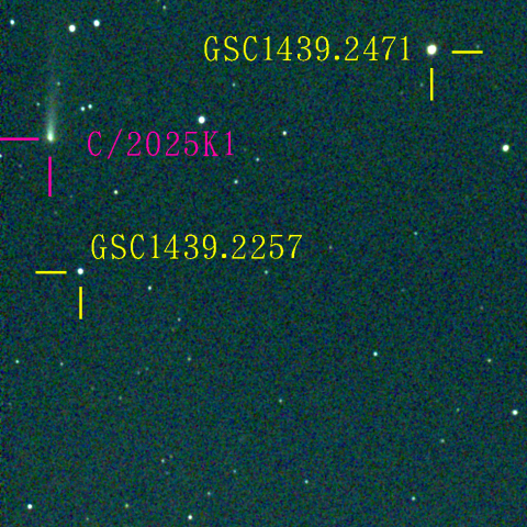 アトラス彗星(C/2025 K1) 11月11日Seestar50