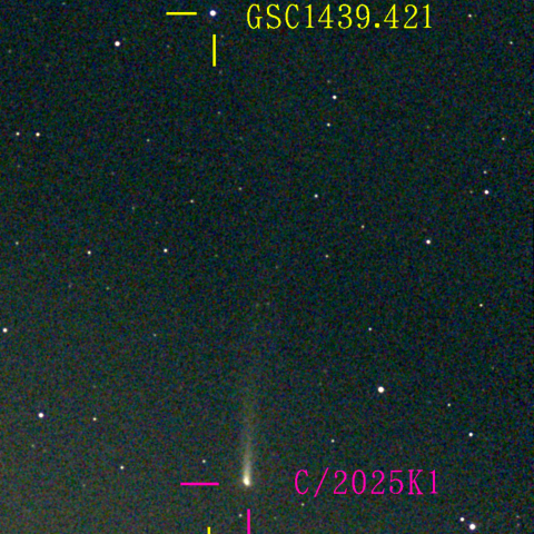 アトラス彗星(C/2025 K1) 11月12日Seestar50