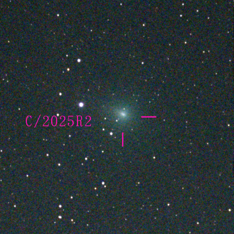 スワン彗星(C/2025 R2)10月27日 Seestar50