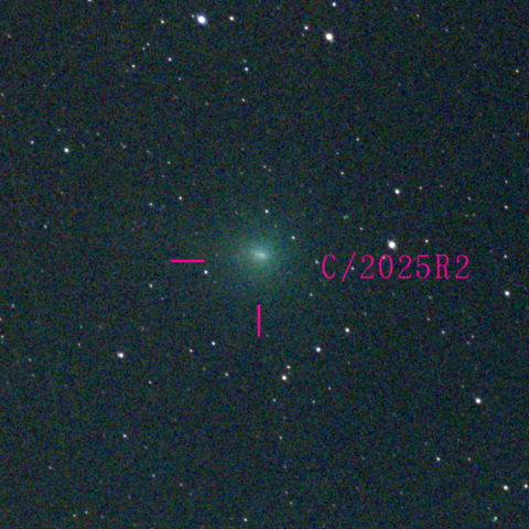 スワン彗星(C/2025 R2)10月28日 Seestar50