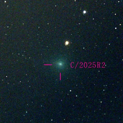 スワン彗星(C/2025 R2)10月29日 Seestar50