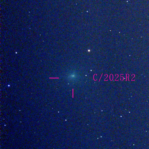 スワン彗星(C/2025 R2)11月03日 Seestar50