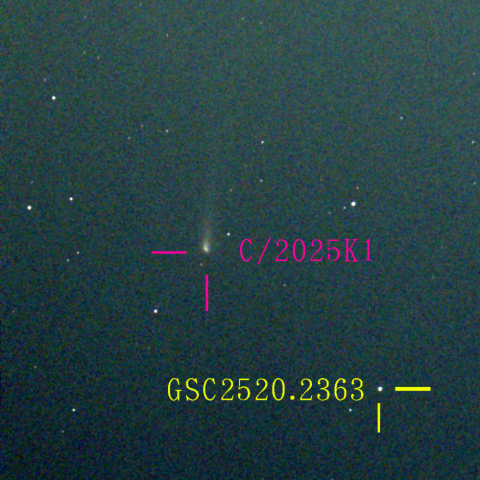 アトラス彗星(C/2025 K1) 11‎月‎16日Seestar50