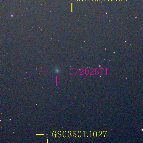 アトラス彗星(C/2025 T1) 11‎月‎14日Seestar50
