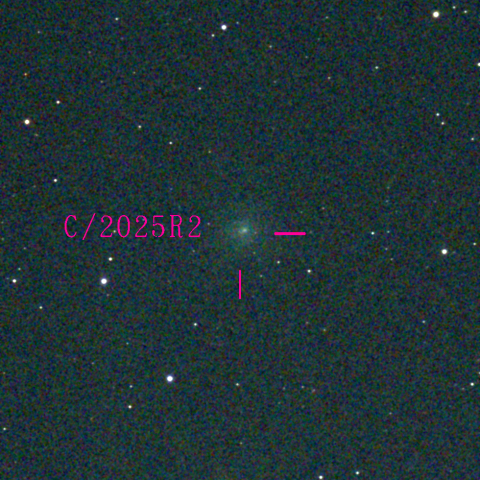 スワン彗星(C/2025 R2)11月10日 Seestar50