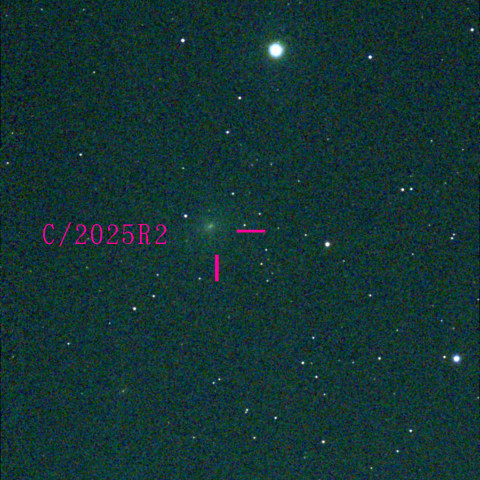 スワン彗星(C/2025 R2)11月11日 Seestar50