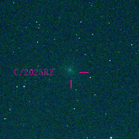 スワン彗星(C/2025 R2)11月14日 Seestar50