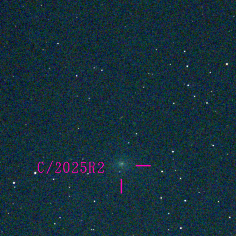 スワン彗星(C/2025 R2)11月15日 Seestar50