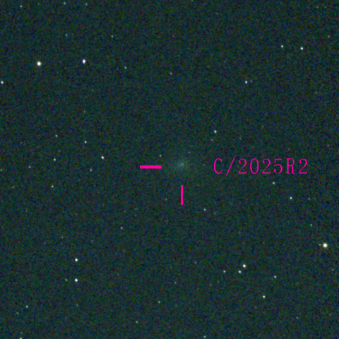 スワン彗星(C/2025 R2)11月16日 Seestar50