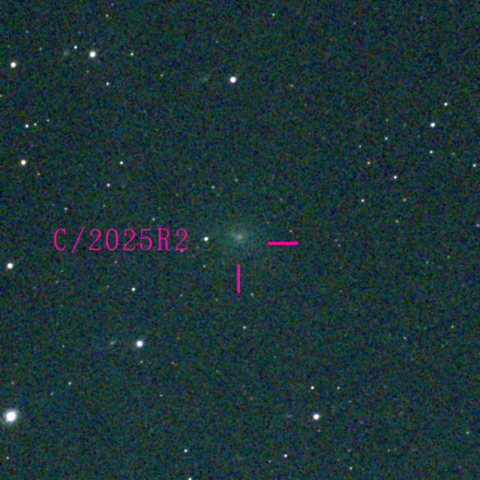 スワン彗星(C/2025 R2)11月18日 Seestar50