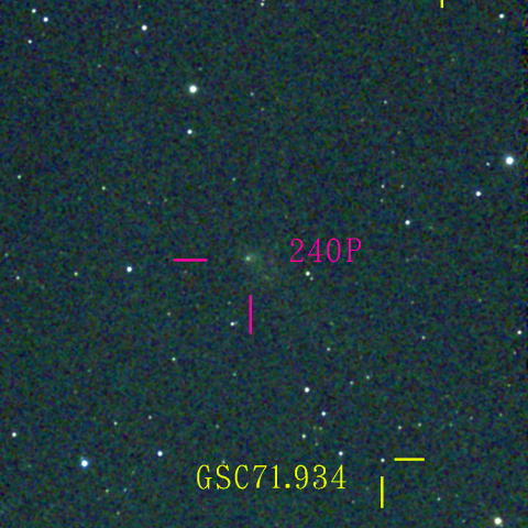 ニート彗星(240P)11月26日 Seestar50