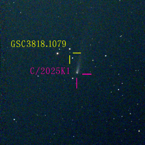 アトラス彗星(C/2025 K1) 11‎月‎23日Seestar50