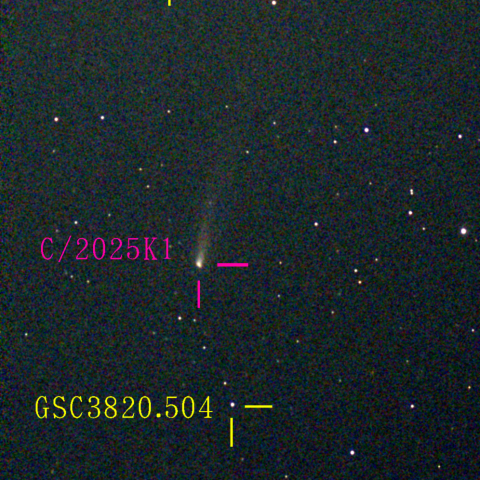 アトラス彗星(C/2025 K1) 11月24日Seestar50
