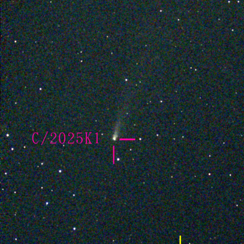 アトラス彗星(C/2025 K1) 11‎月‎26日Seestar50