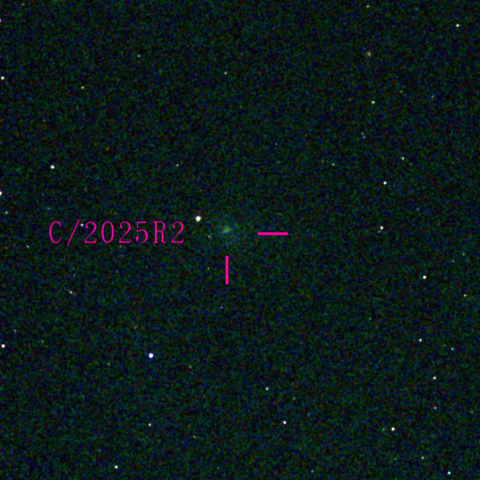 スワン彗星(C/2025 R2)11月23日 Seestar50