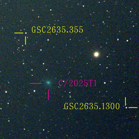 アトラス彗星(C/2025 T1)11月22日 Seestar50