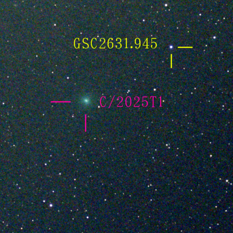 アトラス彗星(C/2025 T1)11月23日 Seestar50