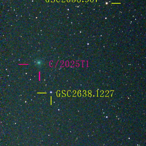 アトラス彗星(C/2025 T1)11月26日 Seestar50
