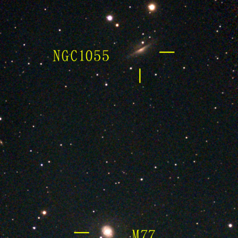 夜空は宝石箱(くじら座 NGC1055) Seestar50