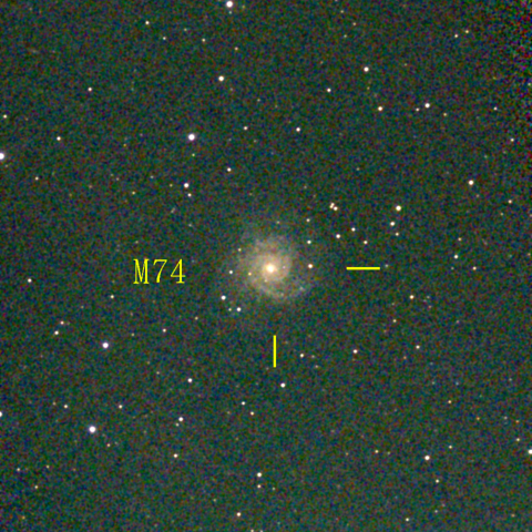 夜空は宝石箱(うお座 M74) Seestar50