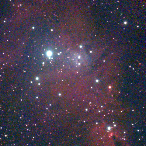 夜空は宝石箱(クリスマスツリー星団 NGC2264) Seestar50