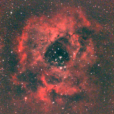 夜空は宝石箱(バラ星雲 NGC2237) Seestar50