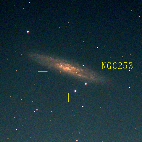 夜空は宝石箱(ちょうこくしつ座  NGC253) Seestar50