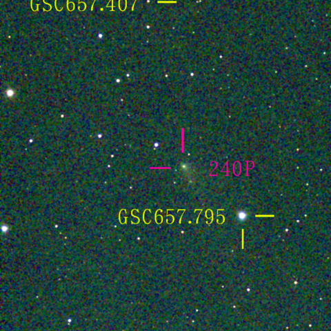 ニート彗星(240P)11月29日 Seestar50