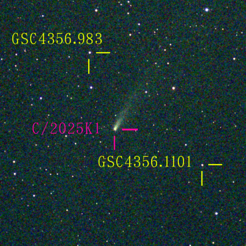 アトラス彗星(C/2025K1) 11‎月‎29日Seestar50