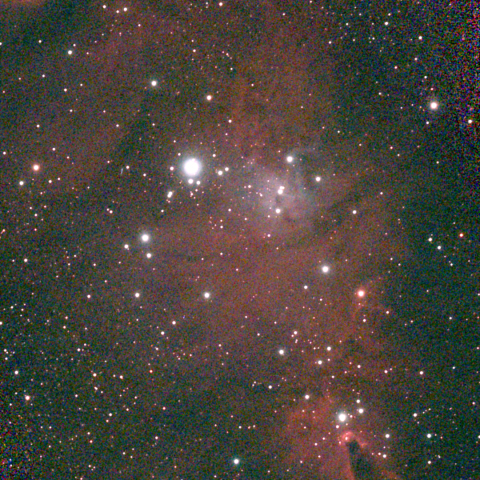 夜空は宝石箱(クリスマスツリー星団 NGC2264) Seestar50