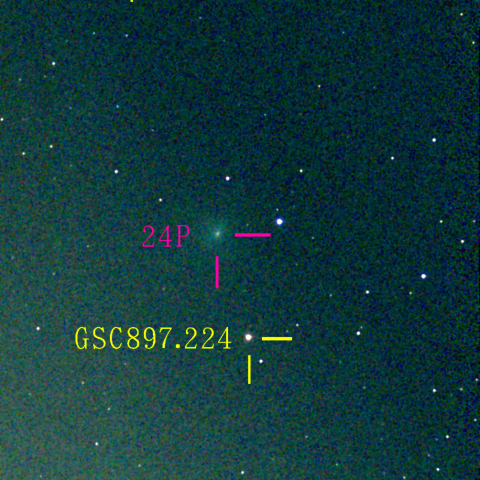 ショーマス彗星(24P)1月8日 Seestar50