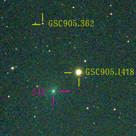 ショーマス彗星(24P)1月24日 Seestar50