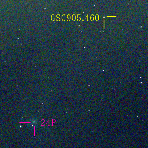 ショーマス彗星(24P)1月25日 Seestar50