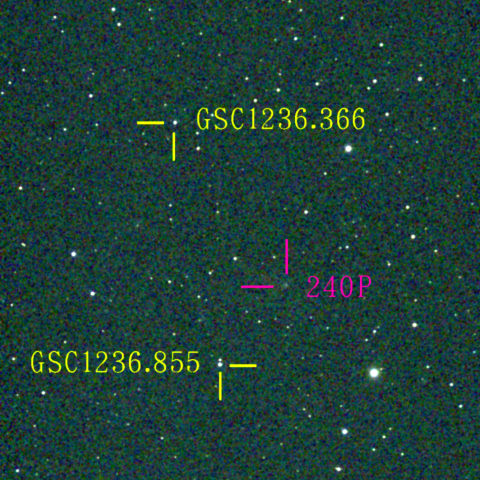 ニート彗星(240P)1月9日 Seestar50