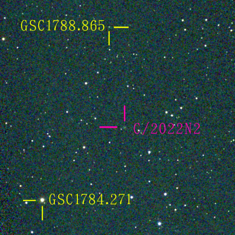 パンスターズ彗星(C/2022N2) 1月‎9日Seestar50