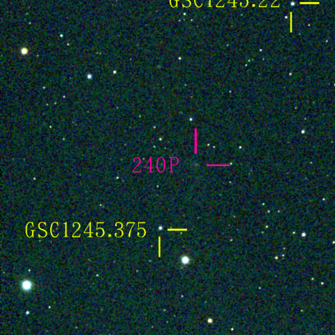 ニート彗星(240P)1月21日 Seestar50