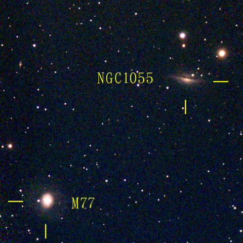 夜空は宝石箱(くじら座 NGC1055) Seestar50