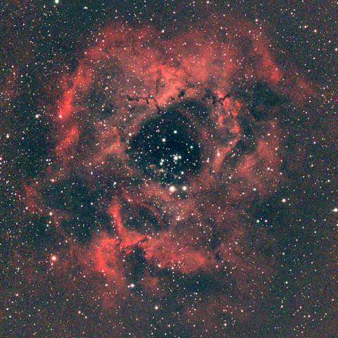 夜空は宝石箱(バラ星雲 NGC2237) Seestar50