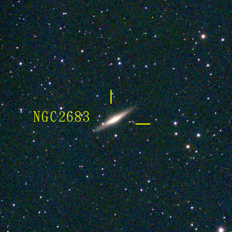 夜空は宝石箱(やまねこ座 NGC2683) Seestar50