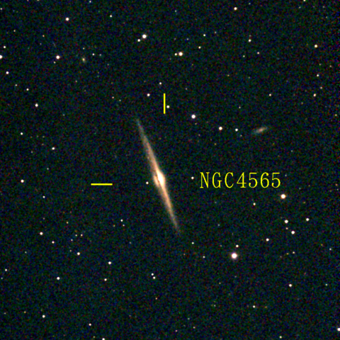 夜空は宝石箱(かみのけ座 NGC4565) Seestar50