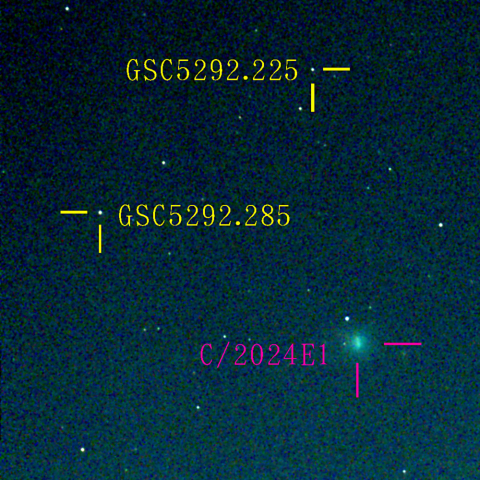 ヴィエシュホシュ彗星(C/2024E1) 3月‎1日Seestar50