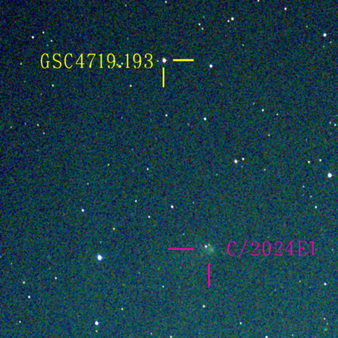 ヴィエシュホシュ彗星(C/2024E1) 3月11日Seestar50