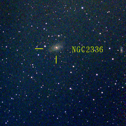 夜空は宝石箱(きりん座 NGC2336) Seestar50