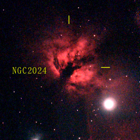 夜空は宝石箱(燃える木星雲 NGC2024) Seestar50