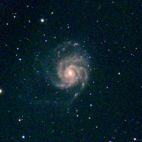 夜空は宝石箱(回転花火銀河 M101) Seestar50