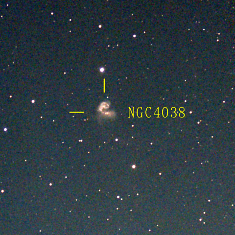 夜空は宝石箱(アンテナ銀河 NGC4038) Seestar50