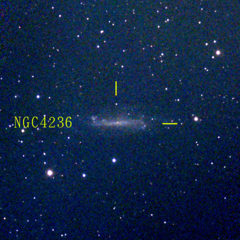 夜空は宝石箱(りゅう座 NGC4236) Seestar50