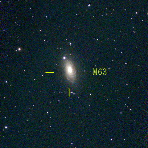 夜空は宝石箱(ひまわり銀河 M63) Seestar50