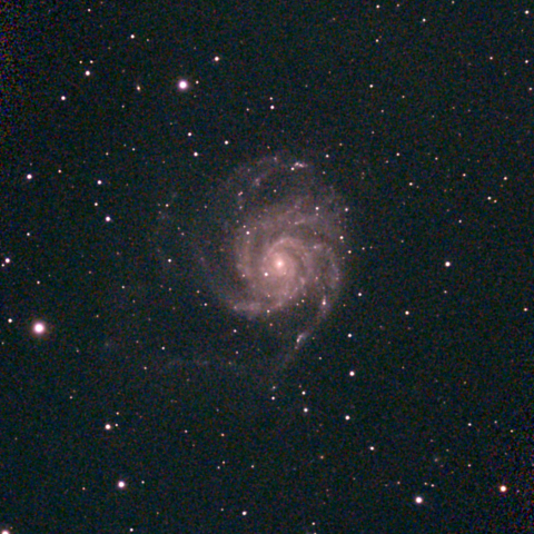 夜空は宝石箱(回転花火銀河 M101) Seestar50
